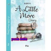 A LITTLE MORE DIARY